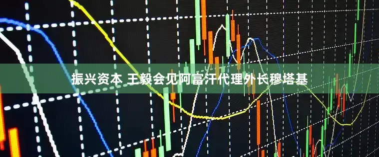 振兴资本 王毅会见阿富汗代理外长穆塔基