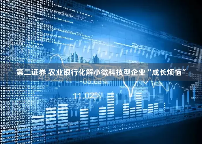 第二证券 农业银行化解小微科技型企业“成长烦恼”
