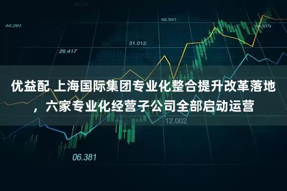 优益配 上海国际集团专业化整合提升改革落地，六家专业化经营子公司全部启动运营