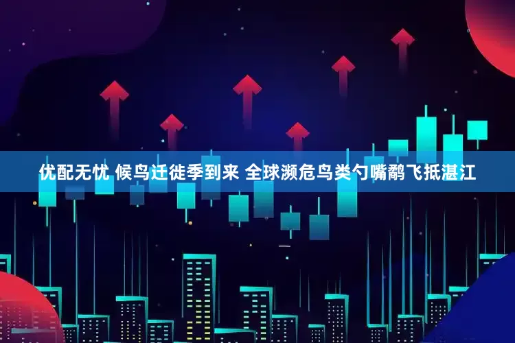 优配无忧 候鸟迁徙季到来 全球濒危鸟类勺嘴鹬飞抵湛江